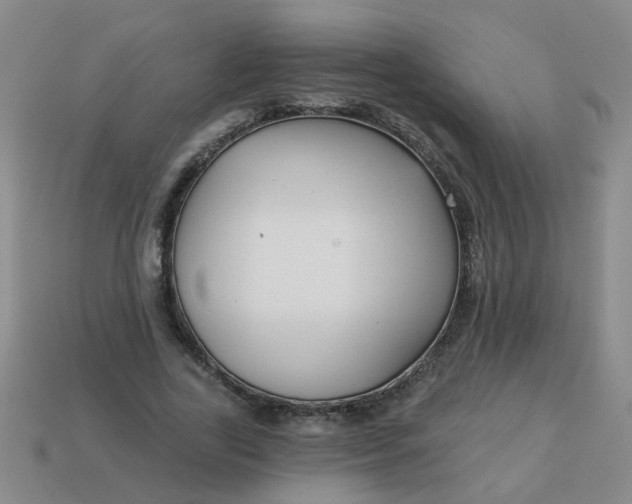 X0000114130731200910221504