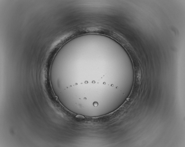 X0000114130732200910221504