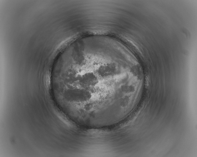 X0000114130733200910221504