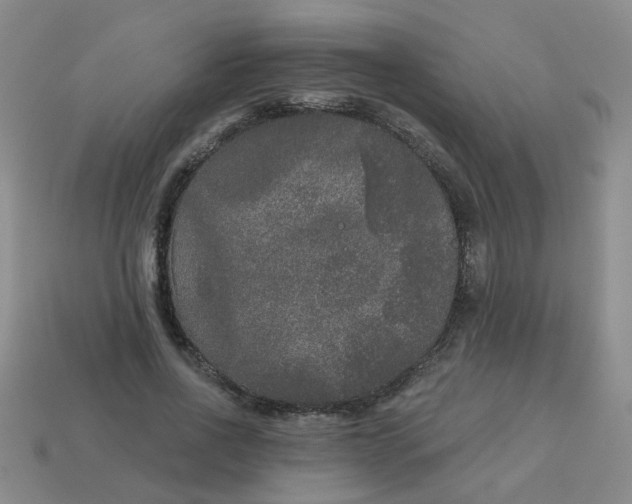 X0000114130734200910221504