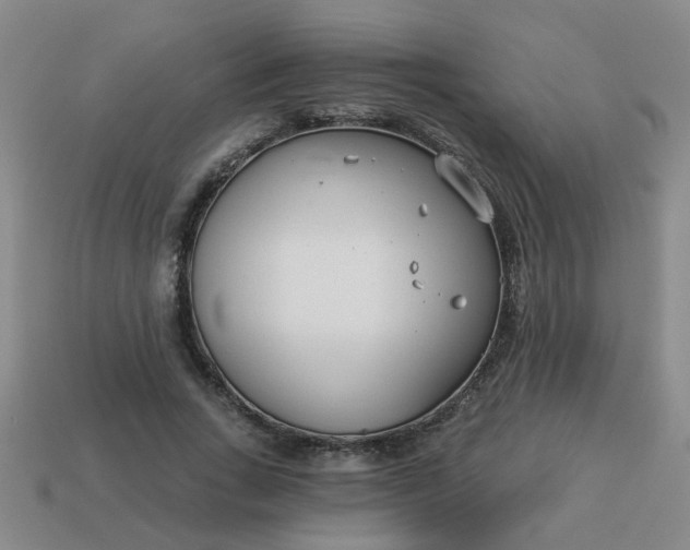 X0000114130735200910221504