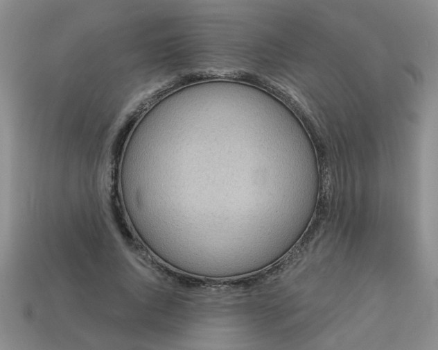 X0000114130736200910221504