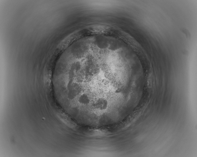 X0000114130737200910221504