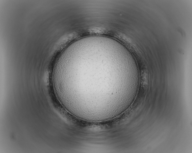 X0000114130738200910221504