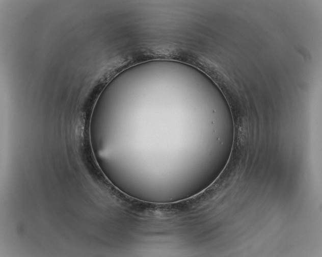 X0000114130739200910221504