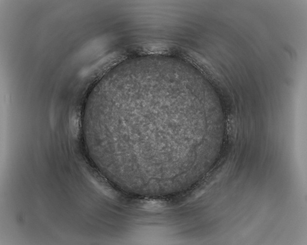 X0000114130741200910221504