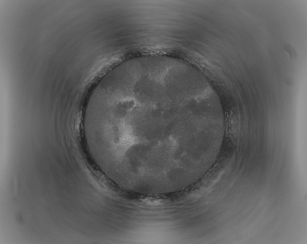 X0000114130742200910221504