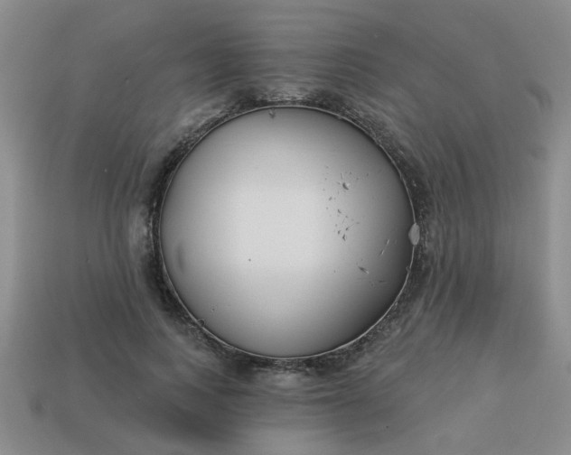 X0000114130743200910221504