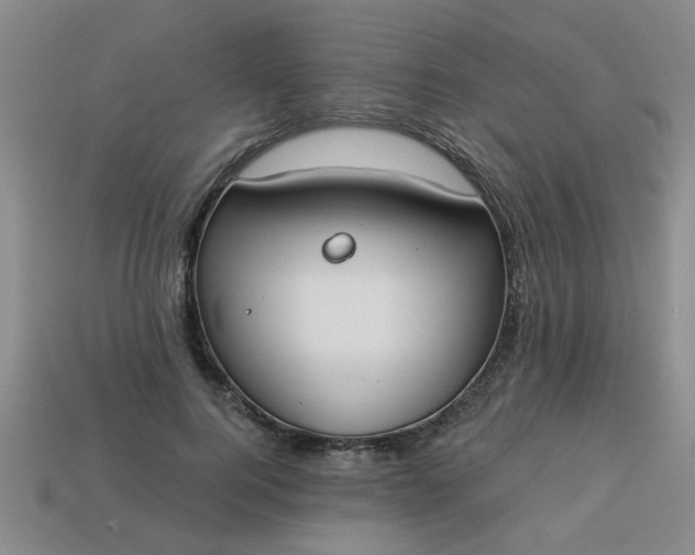 X0000114130744200910221504