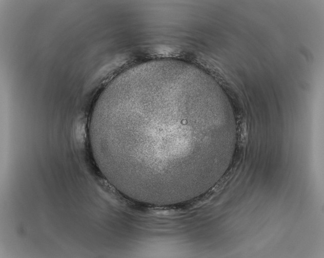 X0000114130746200910221504