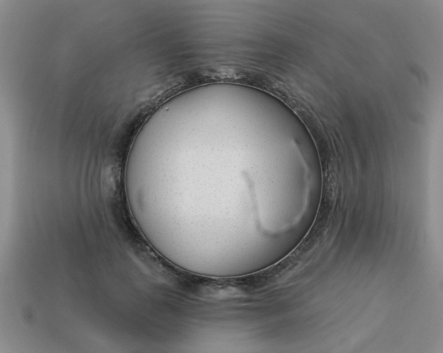 X0000114130747200910221504