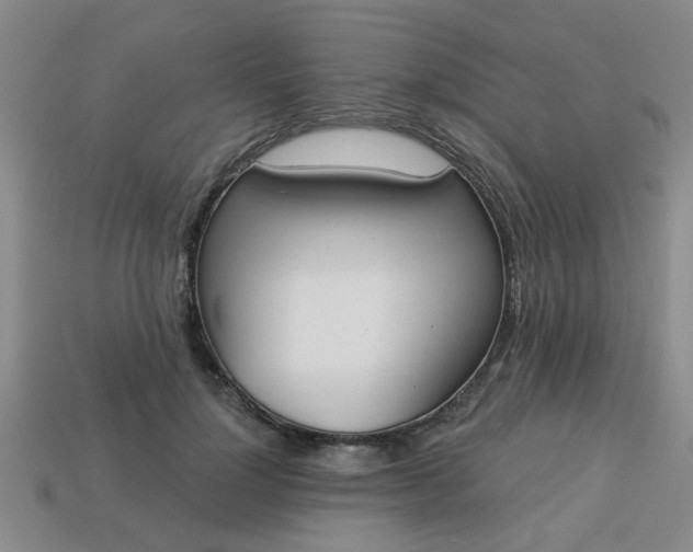 X0000114130748200910221504