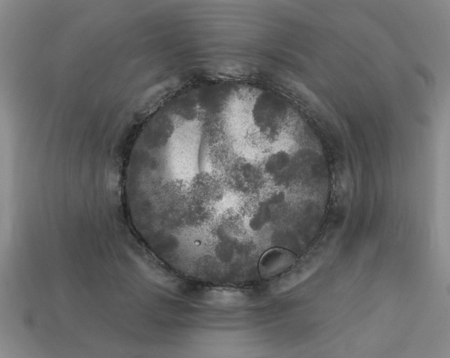 X0000114130749200910221504