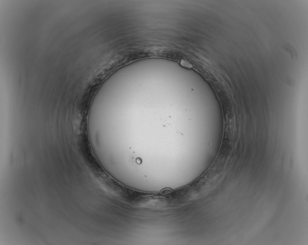 X0000114130750200910221504