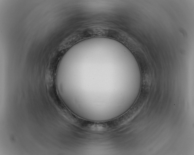 X0000114130751200910221504