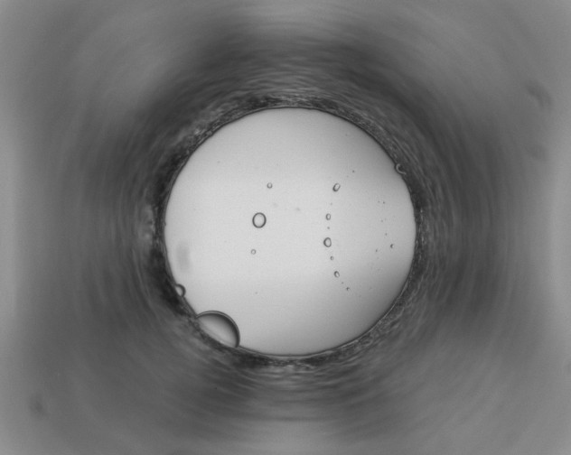 X0000114130752200910221504