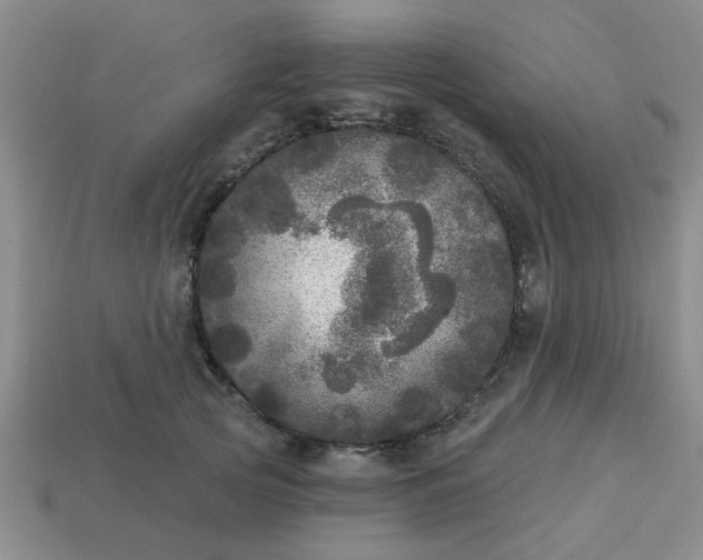 X0000114130753200910221504