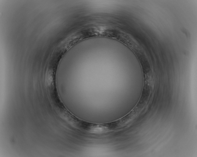 X0000114130754200910221504