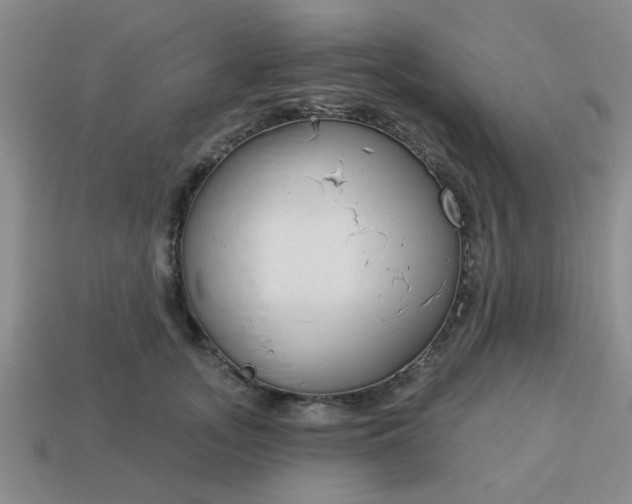 X0000114130755200910221504