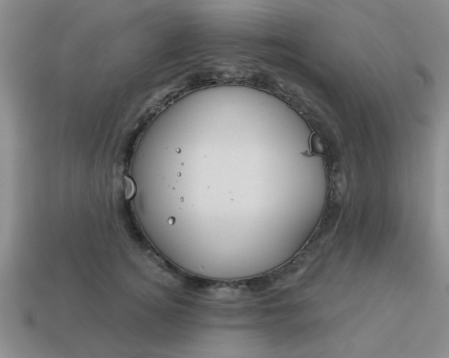 X0000114130756200910221504