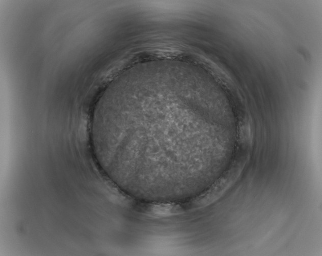 X0000114130757200910221504