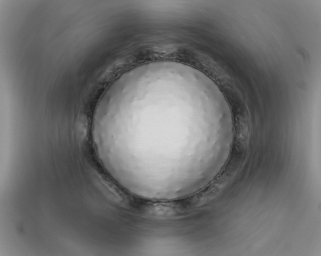 X0000114130758200910221504