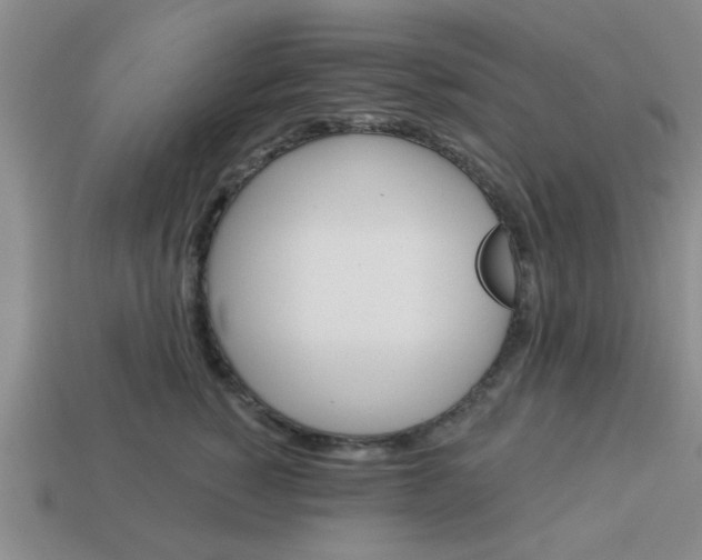 X0000114130760200910221504