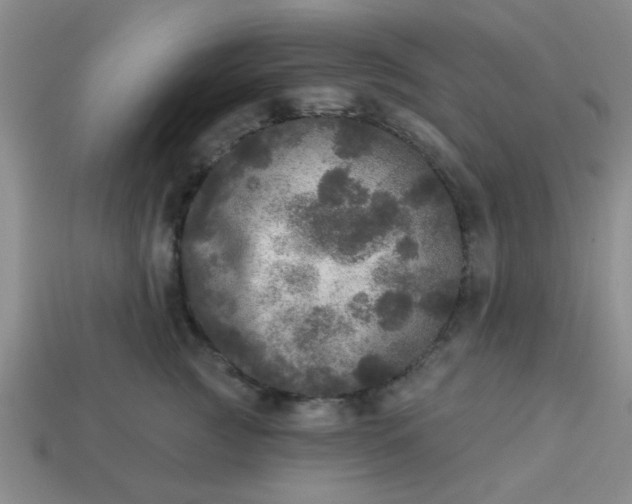 X0000114130761200910221504