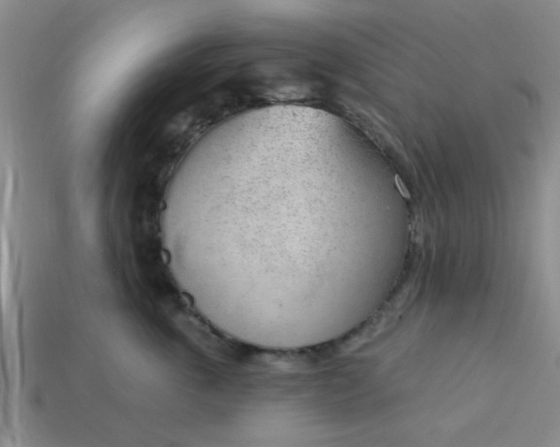 X0000114130763200910221504