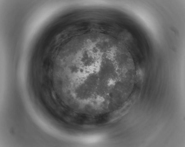 X0000114130765200910221504