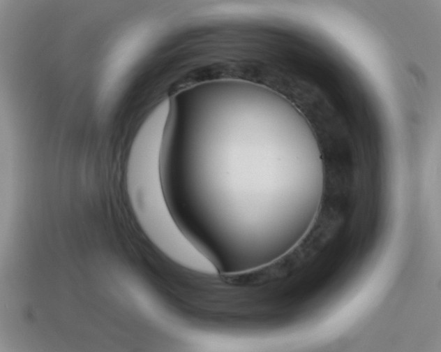 X0000114130766200910221504