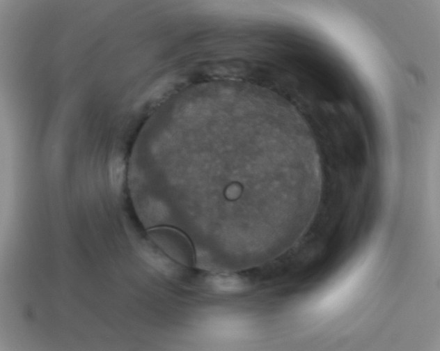 X0000114130767200910221504