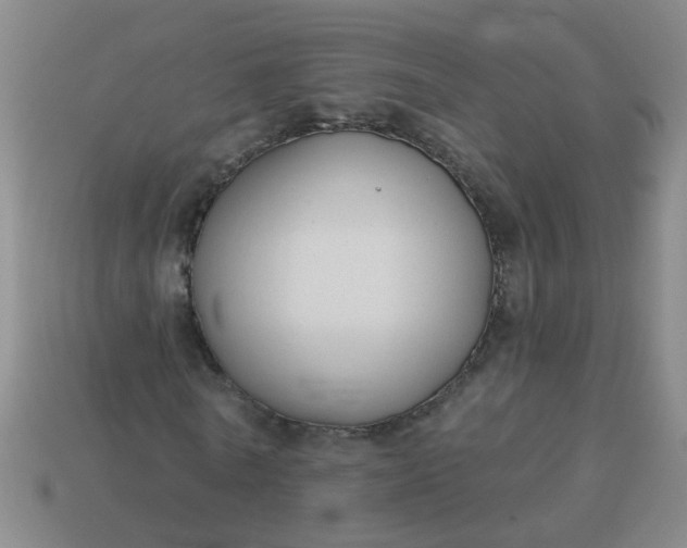 X0000114130770200910221503