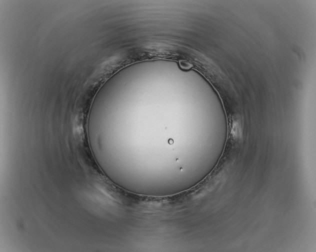 X0000114130771200910221503