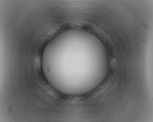 X0000114130772200910221503