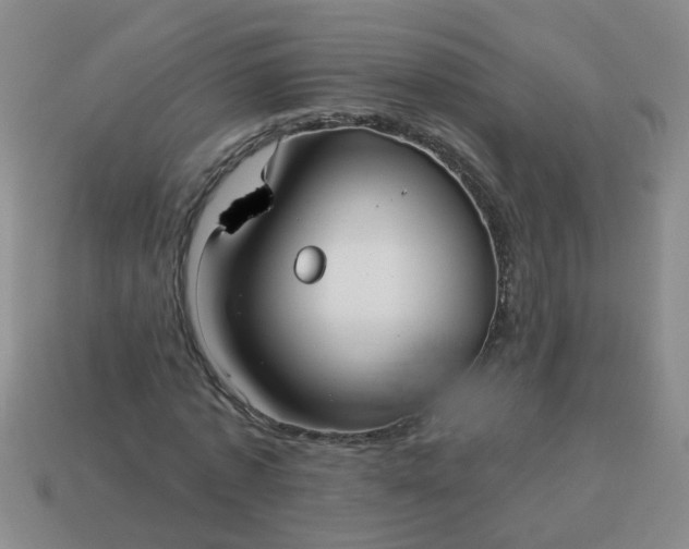 X0000114130773200910221503