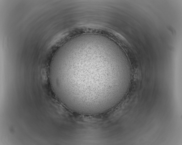 X0000114130774200910221503