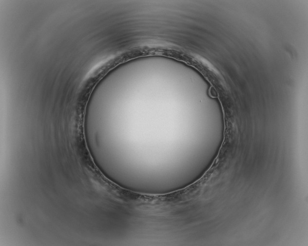 X0000114130775200910221503