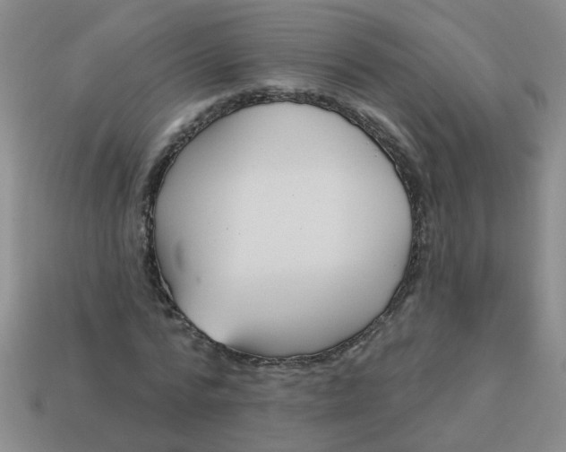 X0000114130776200910221503