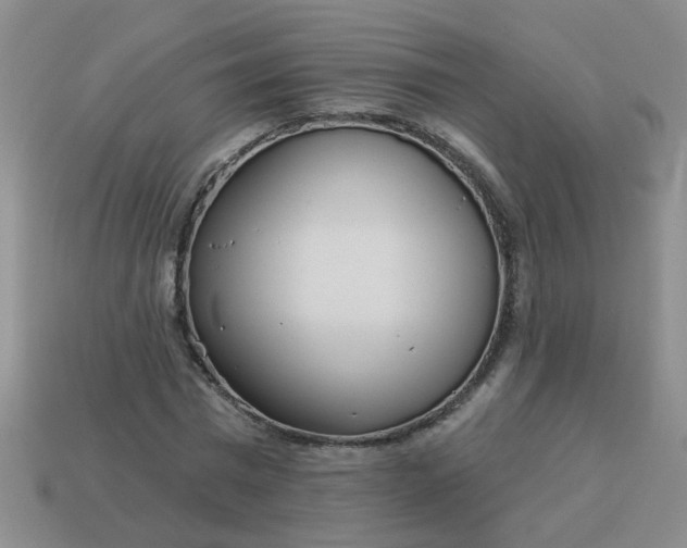 X0000114130777200910221503