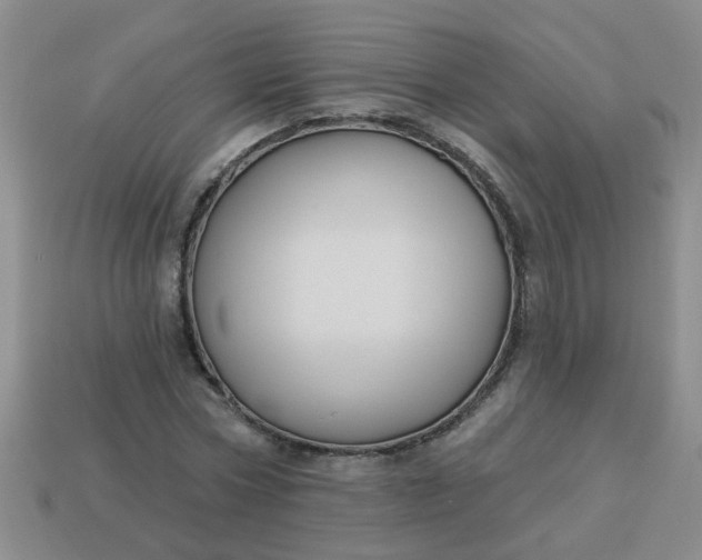 X0000114130778200910221503