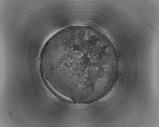 X0000114130779200910221503