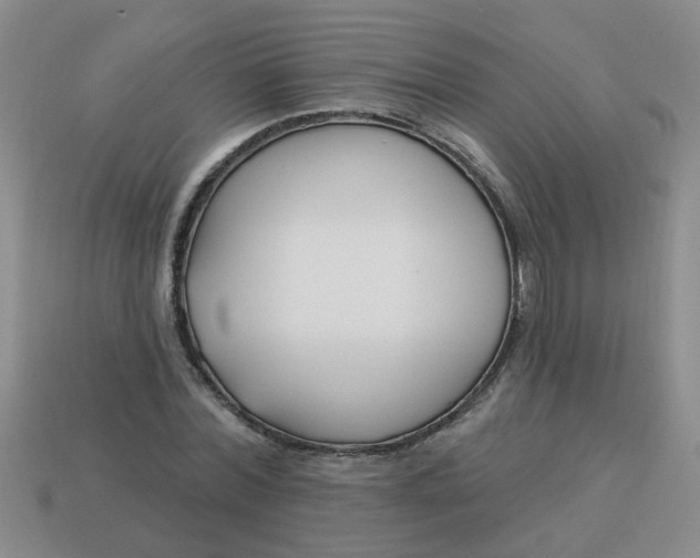 X0000114130780200910221503