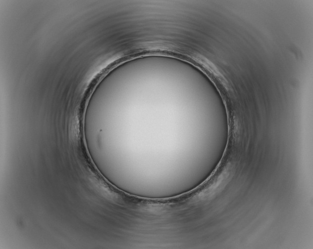 X0000114130782200910221503