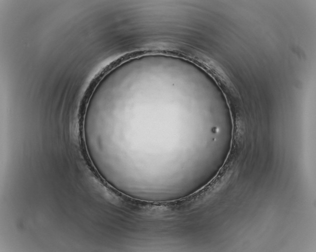 X0000114130784200910221503