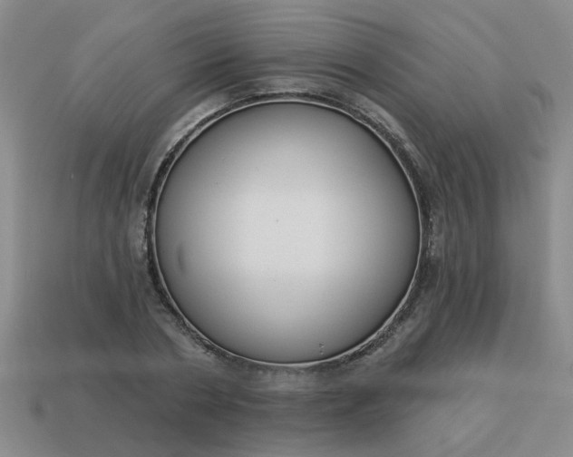 X0000114130786200910221503