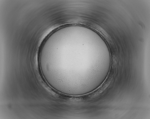 X0000114130788200910221503