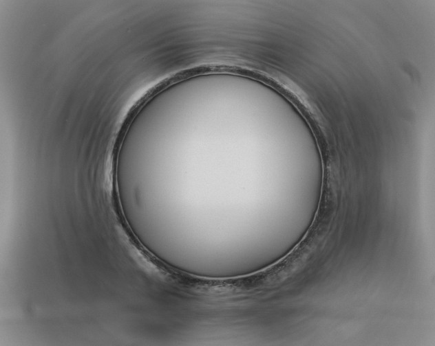 X0000114130791200910221503