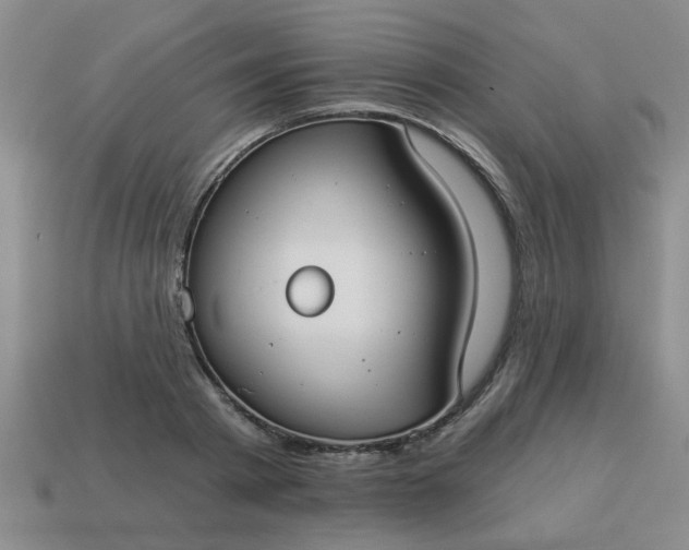 X0000114130793200910221503