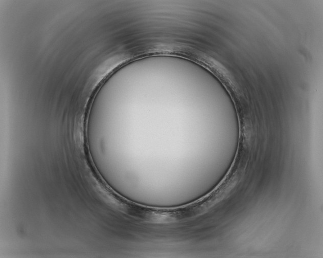 X0000114130794200910221503